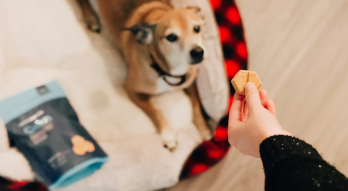 BC, Alberta have highest number of salmonella cases linked to dog food and treats