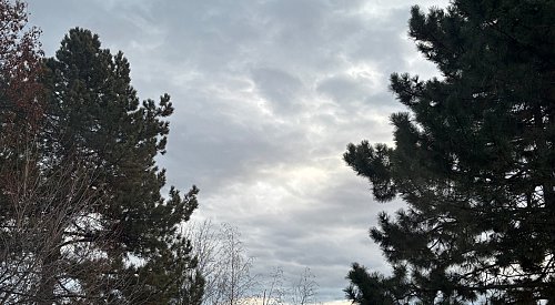 Kelowna weather: Cloudy with afternoon showers likely