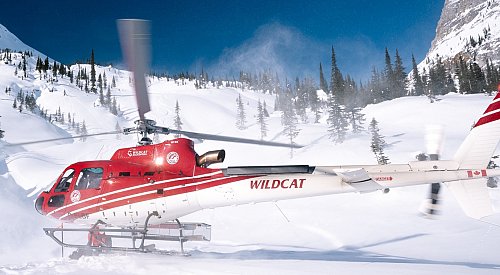 Avalanche claims life of heli-skier near Revelstoke